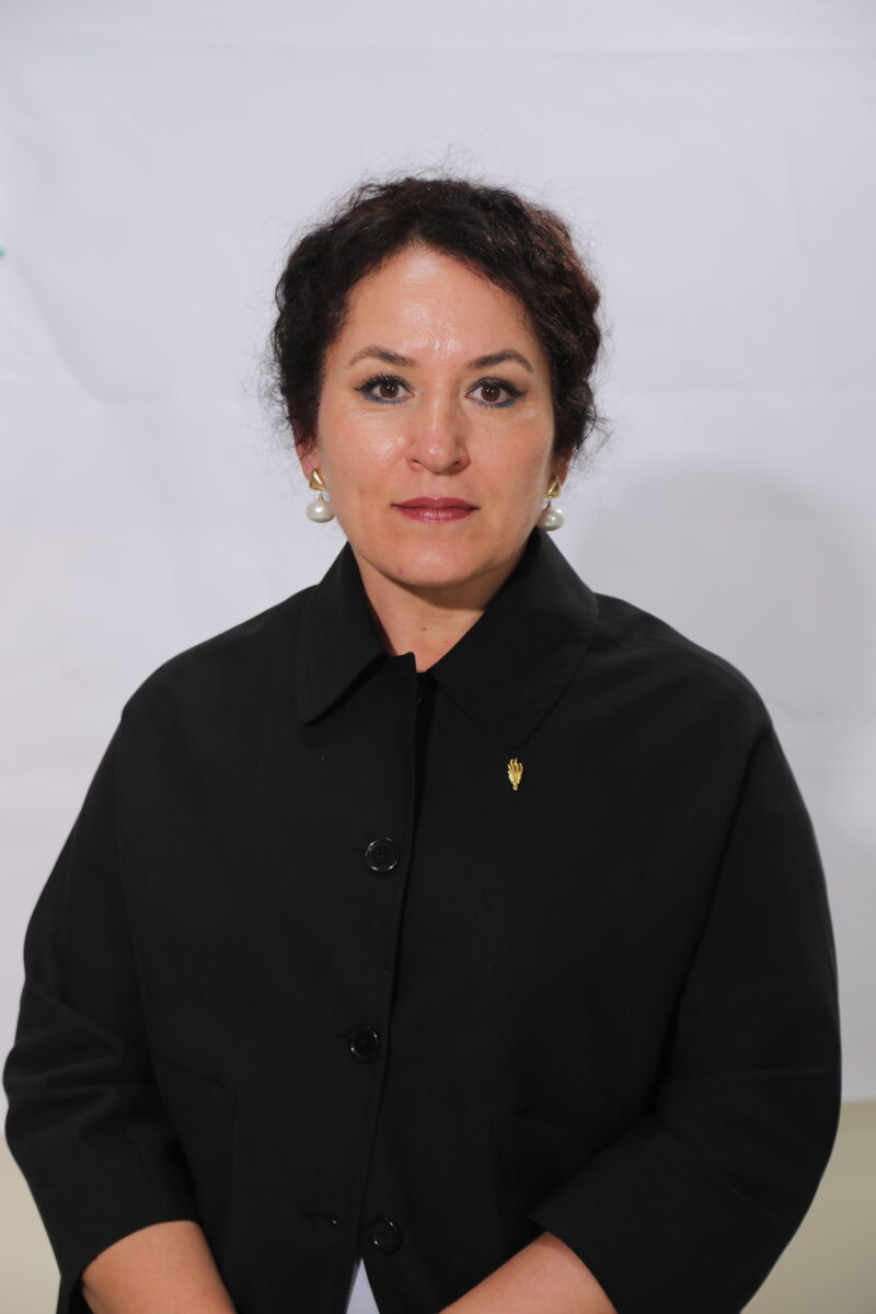 AYSEL ERDİK