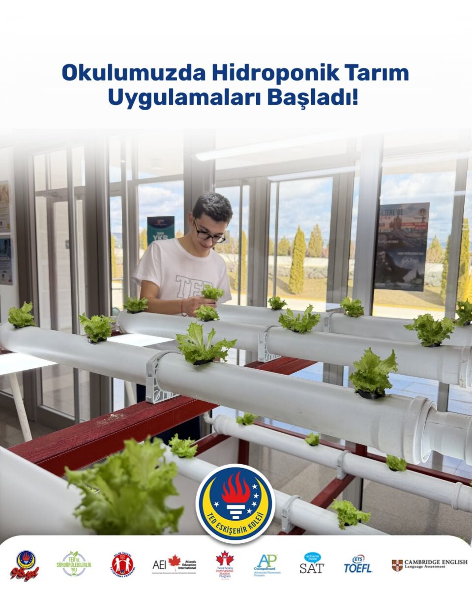 Okulumuzda hidroponik tarım uygulamaları başladı!Öğrencilerimiz, toprağa ihtiyaç duymadan üretim